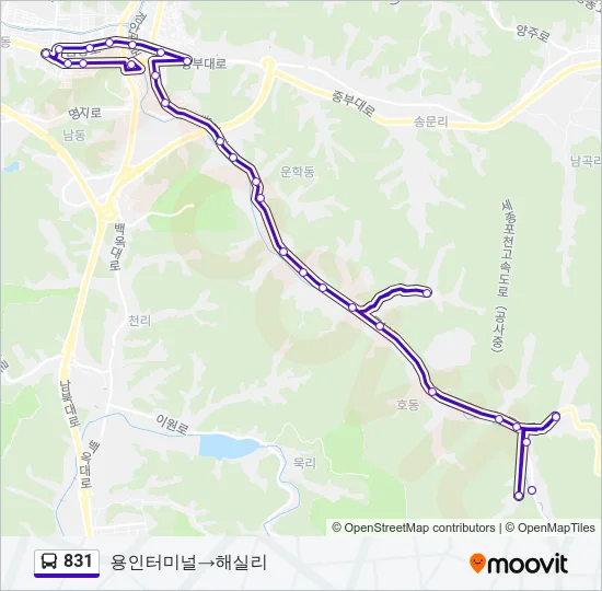 831 버스 노선 지도