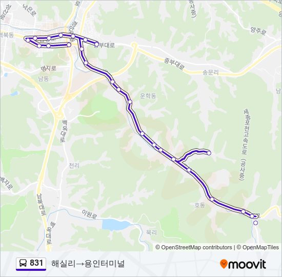 831 버스 노선 지도