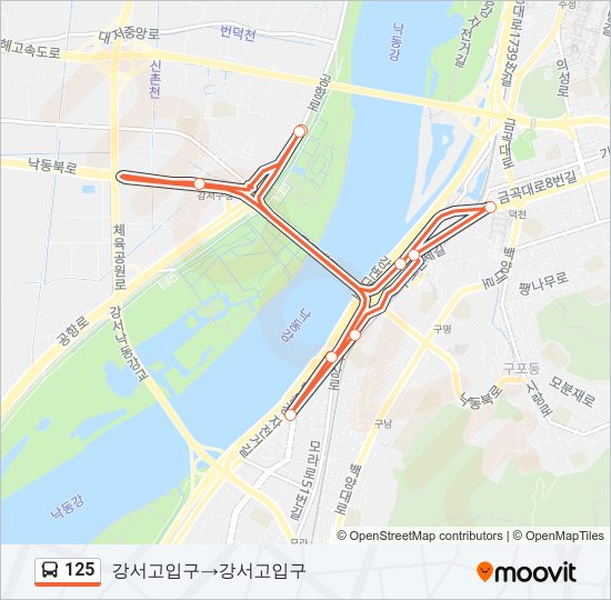125 버스 노선 지도