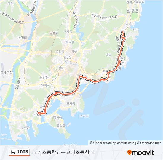1003 경로: 일정, 정거장 & 지도 - 교리초등학교‎→교리초등학교 (업데이트됨)