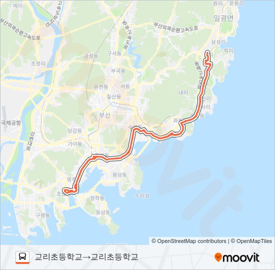 1003(심야) Bus Line Map