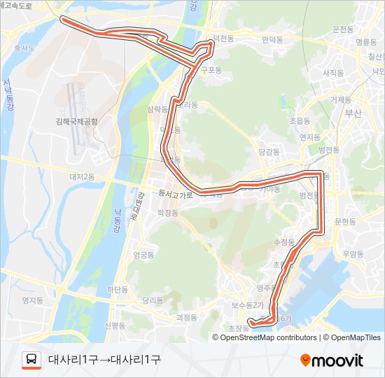 1004(심야) Bus Line Map
