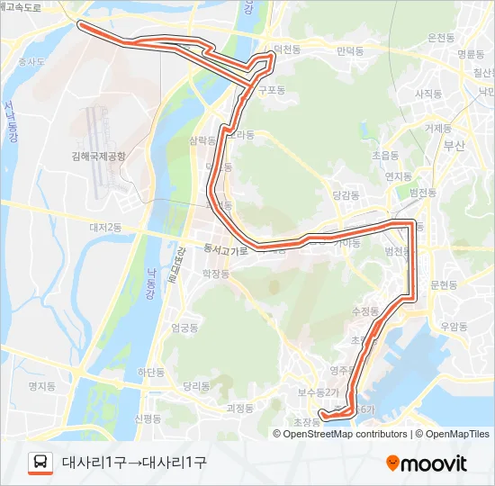 1004(심야) Bus Line Map