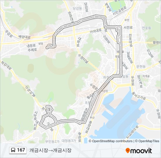 167 버스 노선 지도