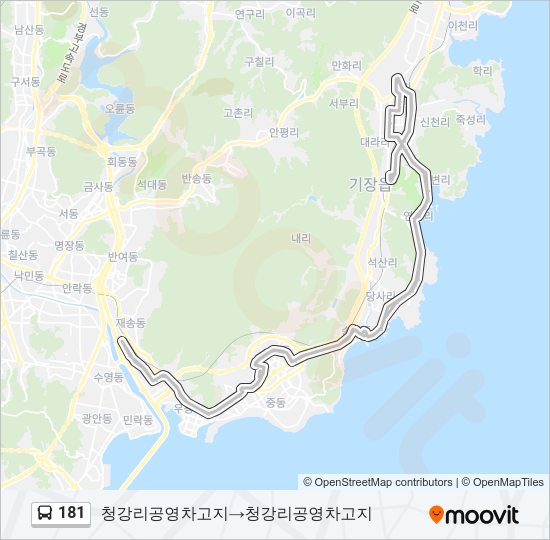 181 버스 노선 지도