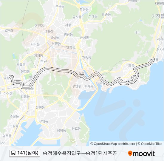 141(심야) Bus Line Map