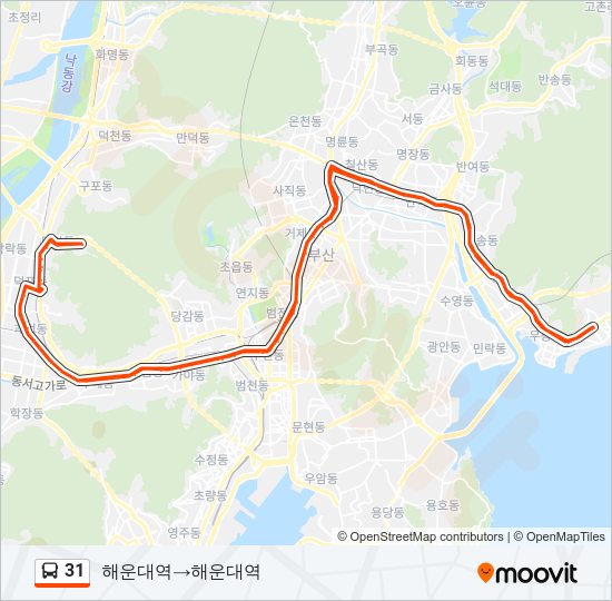 31 버스 노선 지도