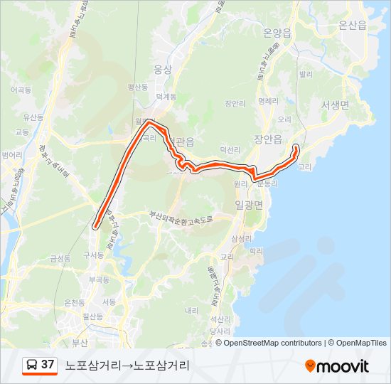 37 Bus Line Map