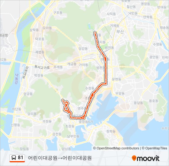 81 버스 노선 지도