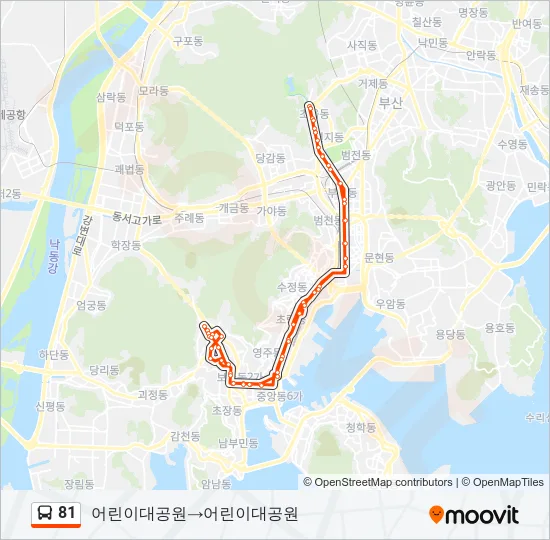 81 버스 노선 지도