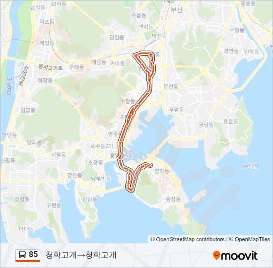 85 버스 노선 지도