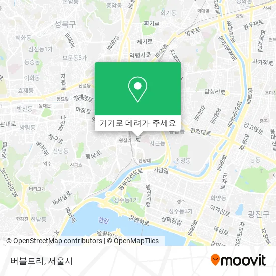 버블트리 지도