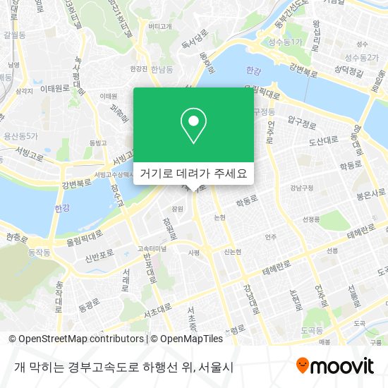 개 막히는 경부고속도로 하행선 위 지도