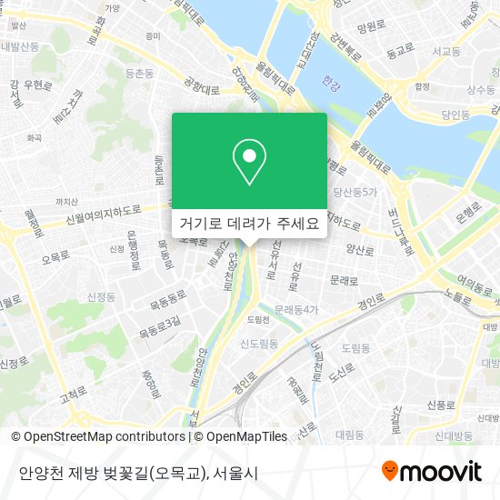안양천 제방 벚꽃길(오목교) 지도