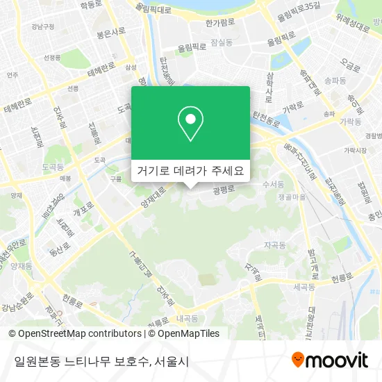 일원본동 느티나무 보호수 지도