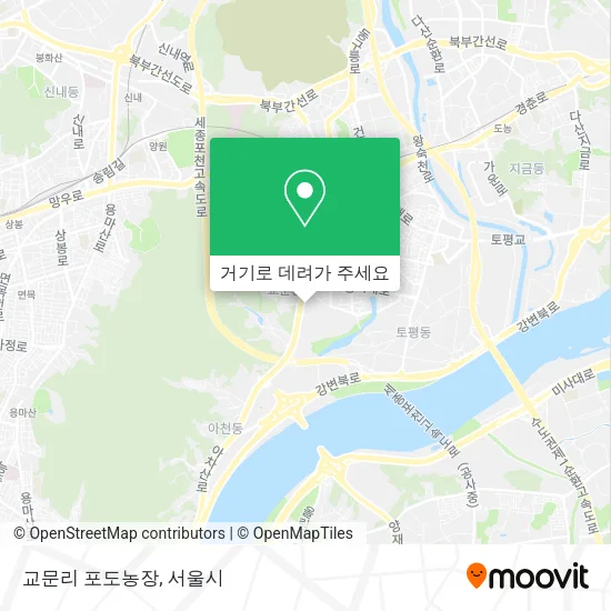 교문리 포도농장 지도