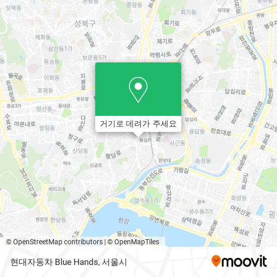 현대자동차 Blue Hands 지도