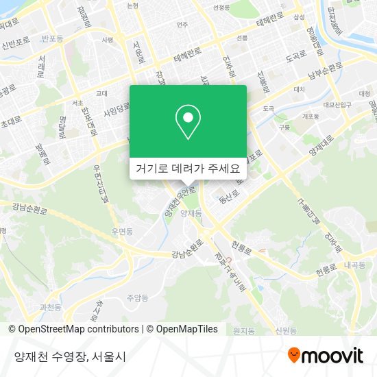 양재천 수영장 지도
