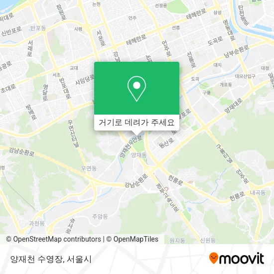양재천 수영장 지도