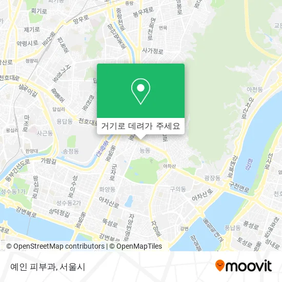 예인 피부과 지도