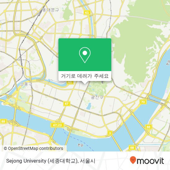 Sejong University (세종대학교) 지도