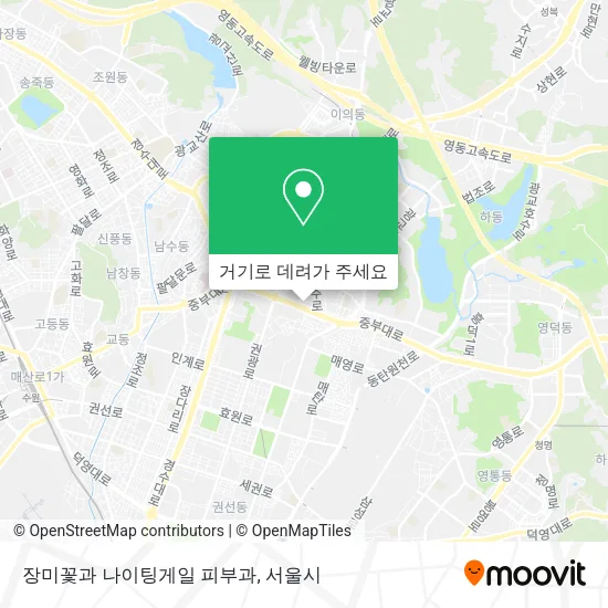 장미꽃과 나이팅게일 피부과 지도