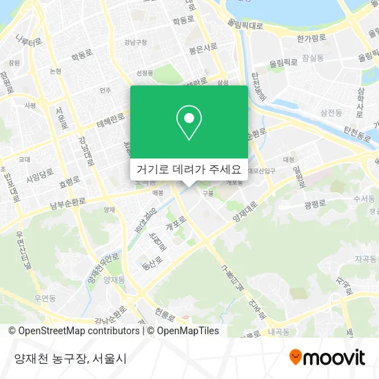 양재천 농구장 지도