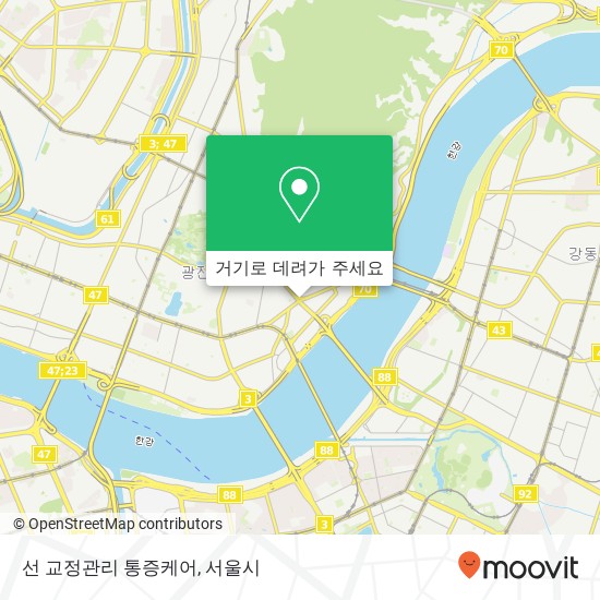 선 교정관리 통증케어 지도