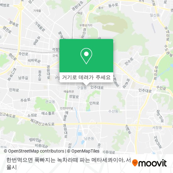 한번먹으면 푹빠지는 녹차라떼 파는 메타세콰이아 지도
