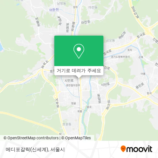 메디포갈릭(신세계) 지도