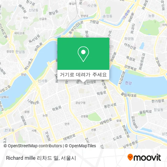 Richard mille 리차드 밀 지도