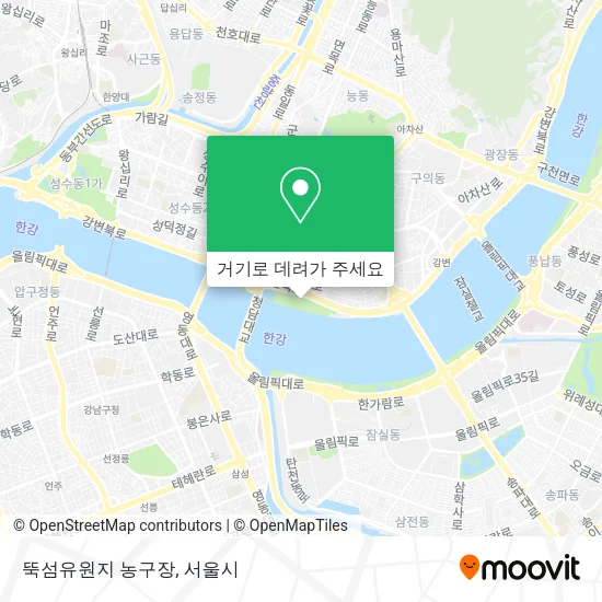 뚝섬유원지 농구장 지도