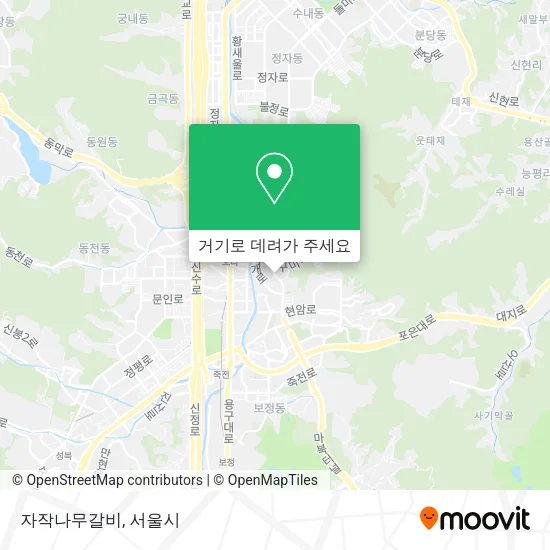 자작나무갈비 지도