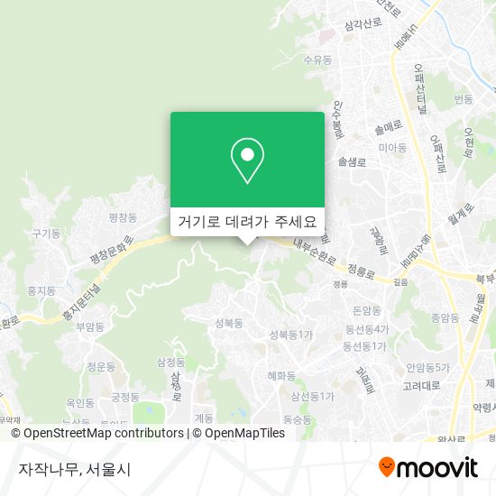 자작나무 지도