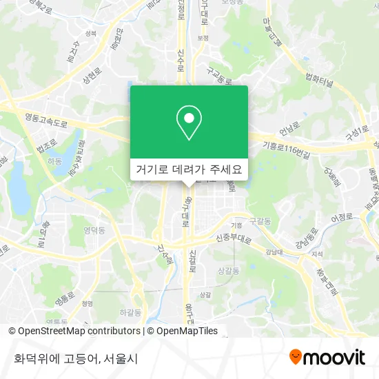 화덕위에 고등어 지도