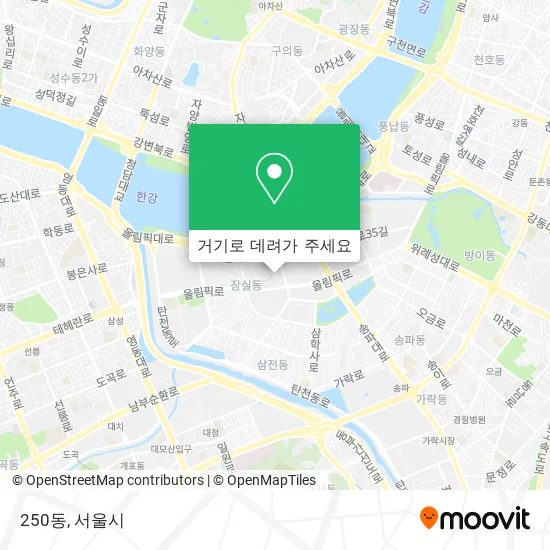 250동 지도