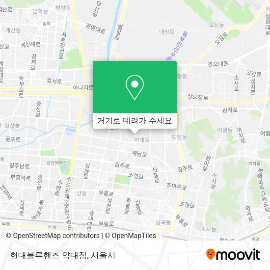 현대블루핸즈 약대점 지도