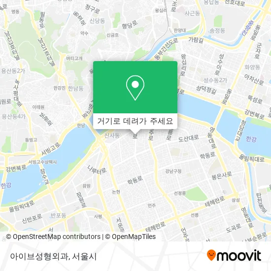 아이브성형외과 지도