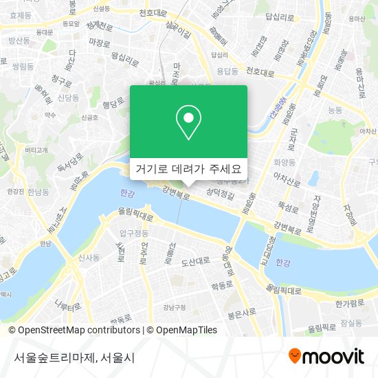 서울숲트리마제 지도