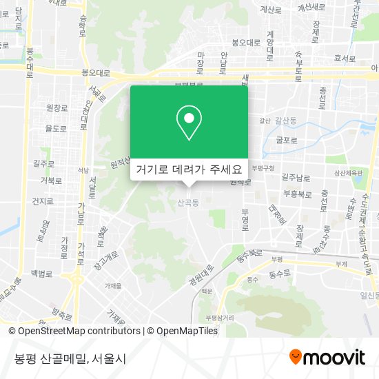 봉평 산골메밀 지도