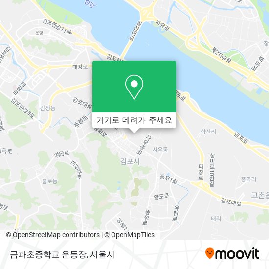 금파초증학교 운동장 지도