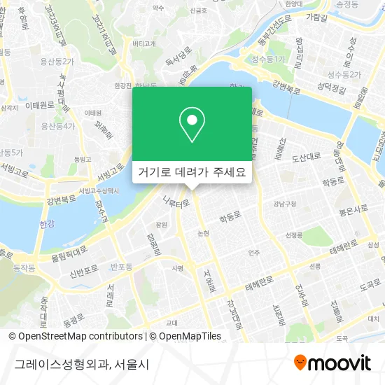 그레이스성형외과 지도