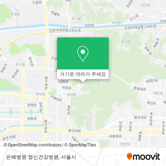 은혜병원 정신건강병원 지도