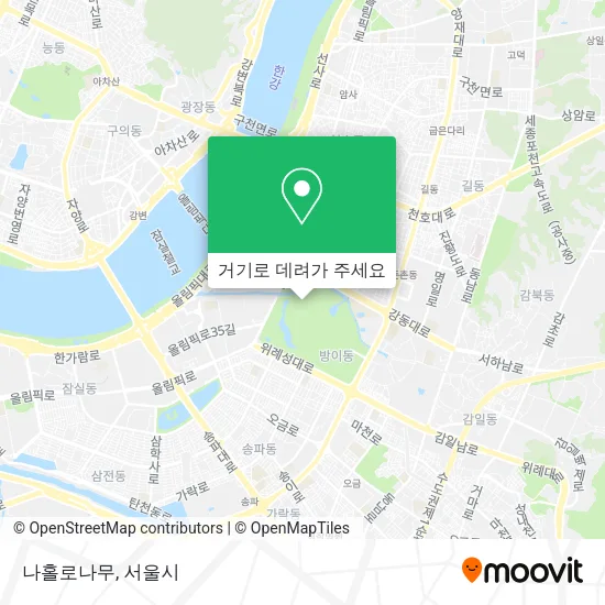 나홀로나무 지도