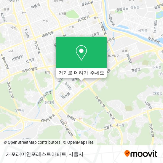 개포래미안포레스트아파트 지도