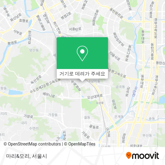 마리&모리 지도