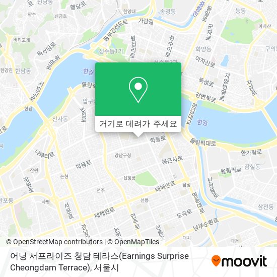 어닝 서프라이즈 청담 테라스(Earnings Surprise Cheongdam Terrace) 지도