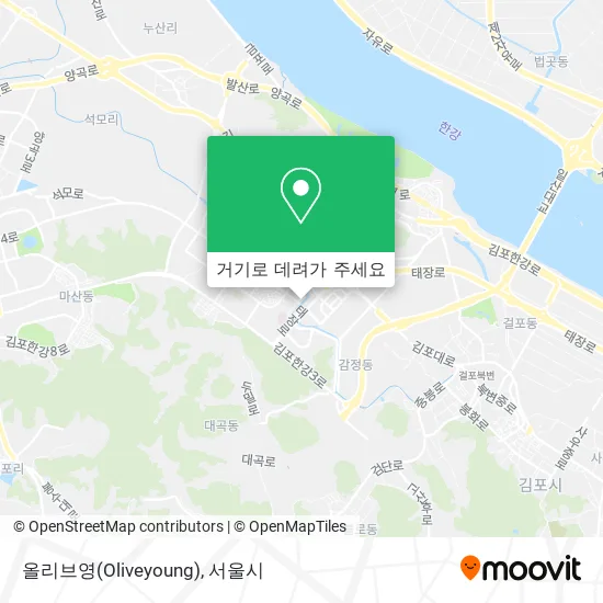 올리브영(Oliveyoung) 지도