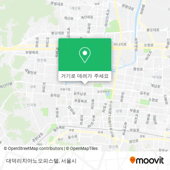 대덕리치아노오피스텔 지도