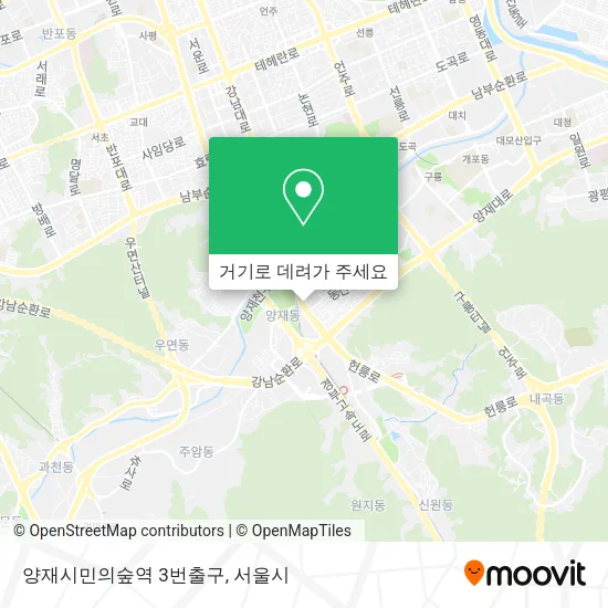 양재시민의숲역 3번출구 지도